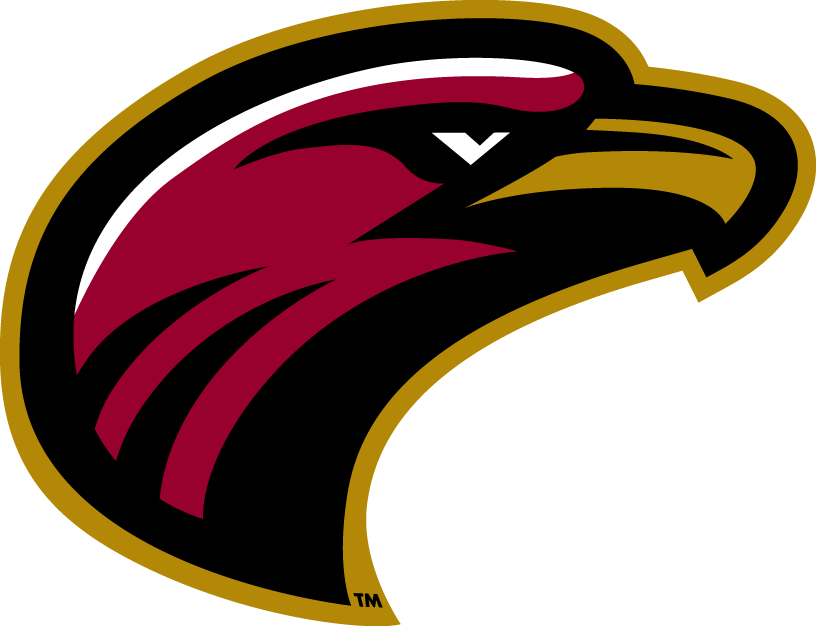 Louisiana-Monroe Warhawks 2006-Pres Alternate Logo v7 DIY iron on transfer (heat transfer)
